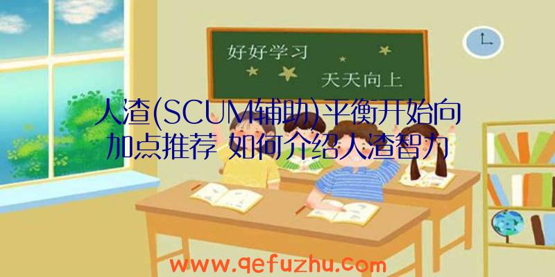 人渣(SCUM辅助)平衡开始向加点推荐